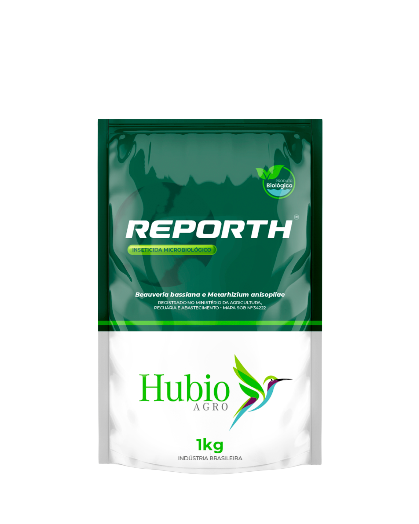 Reporth